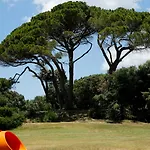 I Cinque Pini