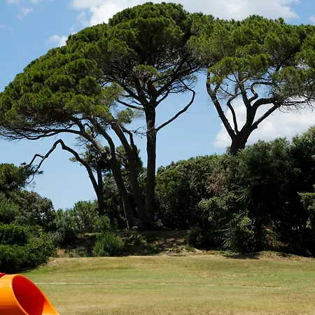 I Cinque Pini